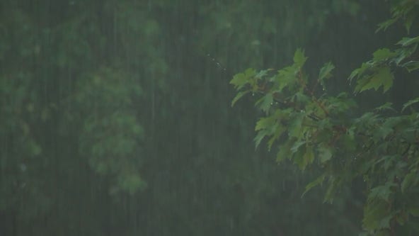 Storms expected Thursday evening around Twin Cities metro