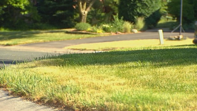 Saving your lawn during a drought