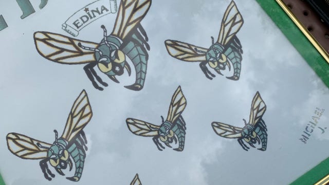 Edina Schools to drop current hornet logo after lawsuit