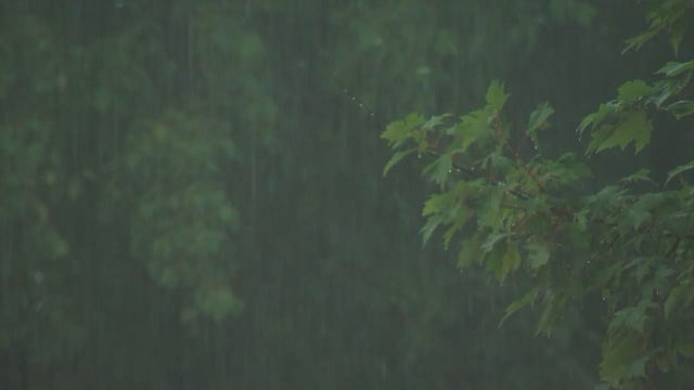 Storms expected Thursday evening around Twin Cities metro