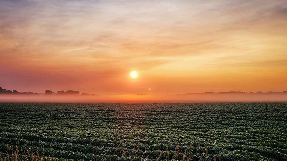 Smoke from Canadian wildfires creates thick haze in Minnesota
