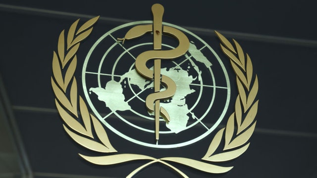 WHO says it was 'premature' to rule out lab leak as COVID-19 origin
