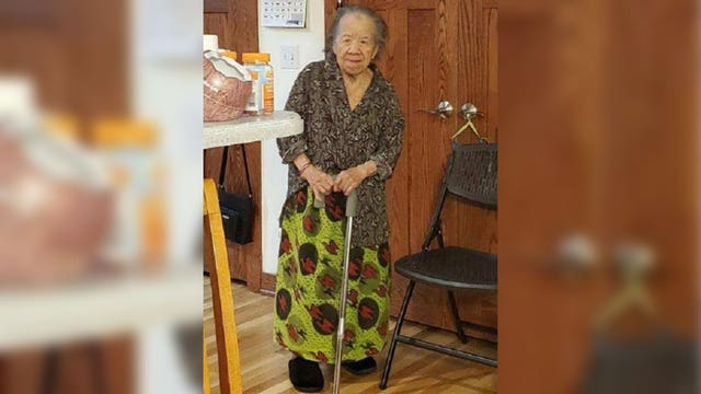 St. Paul police searching for missing 91-year-old woman