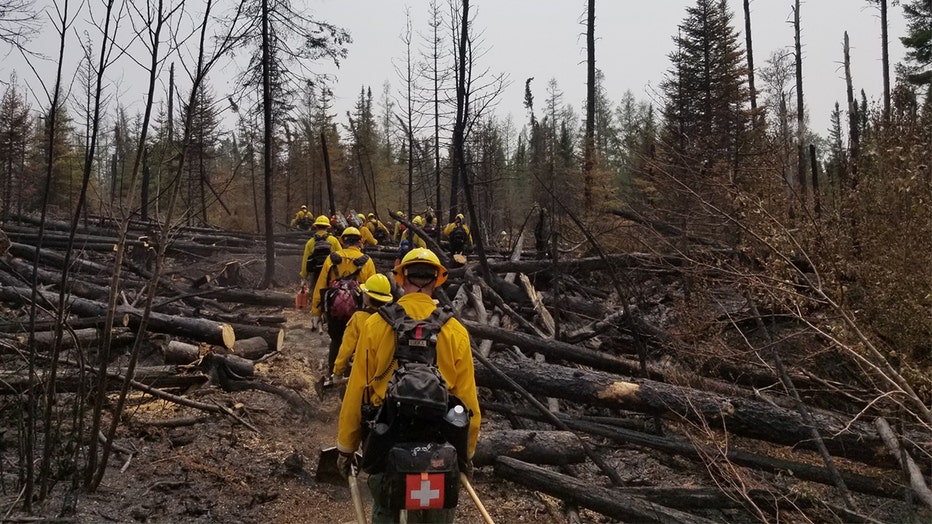 Delta Lake Fire US Forest Service