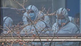 COVID-19 origins report: Unclassified version of US review expected within 'days'