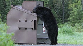 U.S. Forest Service stops taking donations for firefighters after extra supplies attract bears