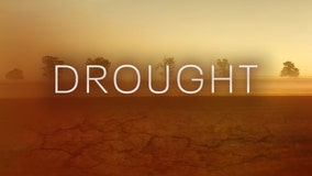 Minnesota drought: Your questions answered