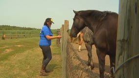 Minnesota's Healing Hearts and Hooves brings peace to humans and animals alike