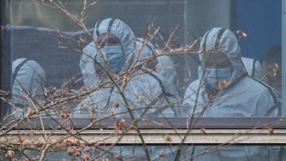 COVID-19 origins report: Unclassified version of US review expected within 'days'