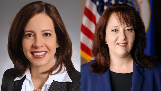 Minnesota State Senator Franzen, State Auditor Blaha hospitalized after crash