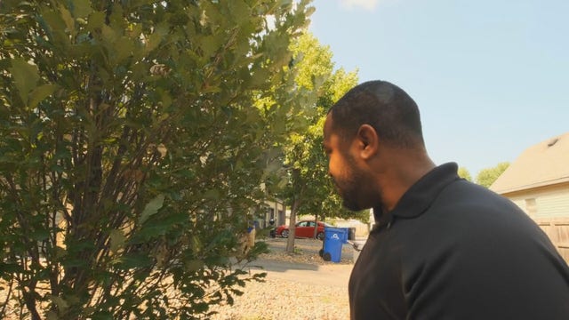 Group works to plant more trees in St. Paul neighborhoods in need