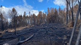 Greenwood Fire closure areas reopen, remaining burning restrictions in NE Minnesota lifted