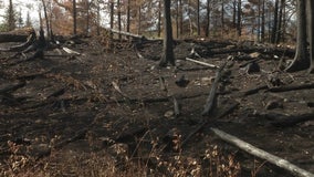 Greenwood fire now 75% contained, some burning restrictions to be lifted