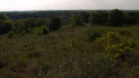 Neighbors protest proposed housing development by Cottage Grove nature preserve