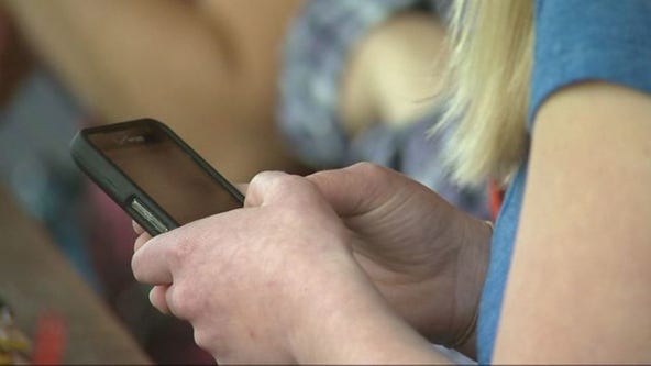 Minnesotans can access to immunization records through new mobile app