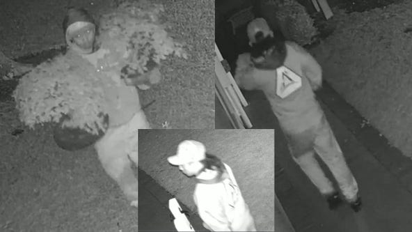 Rare bonsai trees stolen in Hopkins amid rash of metro thefts