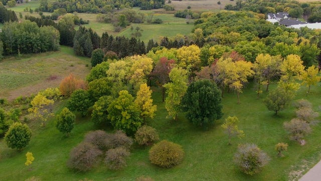 This summer's drought could mean shortened, muted fall color season