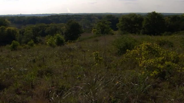 Neighbors protest proposed housing development by Cottage Grove nature preserve