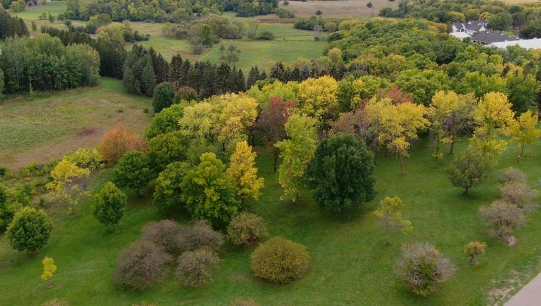 drone fall colors 2021