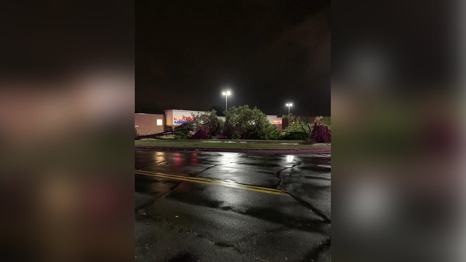 burnsville trees down 2 resized