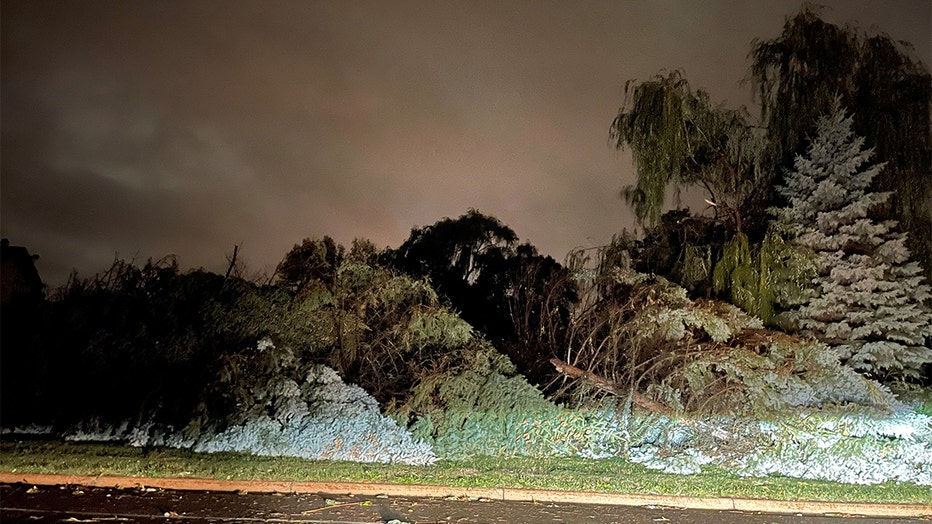 Trees down in Eagan, Minnesota