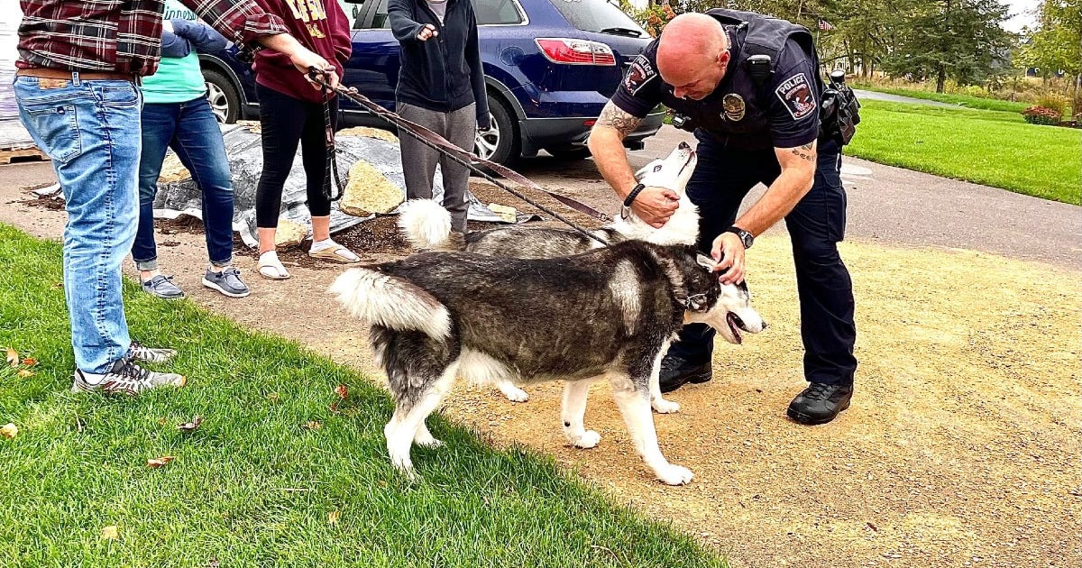 Good Samaritans save dogs from house fire in Cottage Grove | FOX 9 ...