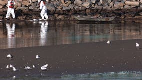 California oil spill: Authorities investigate if ship’s anchor struck pipeline