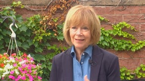 Sen. Tina Smith says she will vote against charter change for Minneapolis police