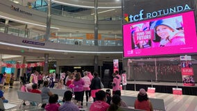 Annual Making Strides Against Breast Cancer walk held at MOA