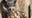 Minnesota Zoo Eurasian eagle owl, Gladys, is missing