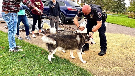 Good Samaritans save dogs from house fire in Cottage Grove
