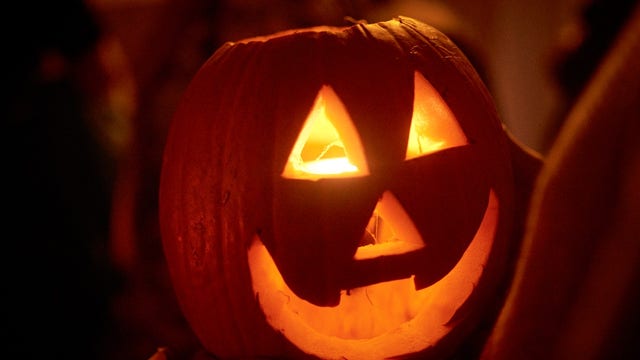 Tips to keep your pet safe and healthy this Halloween