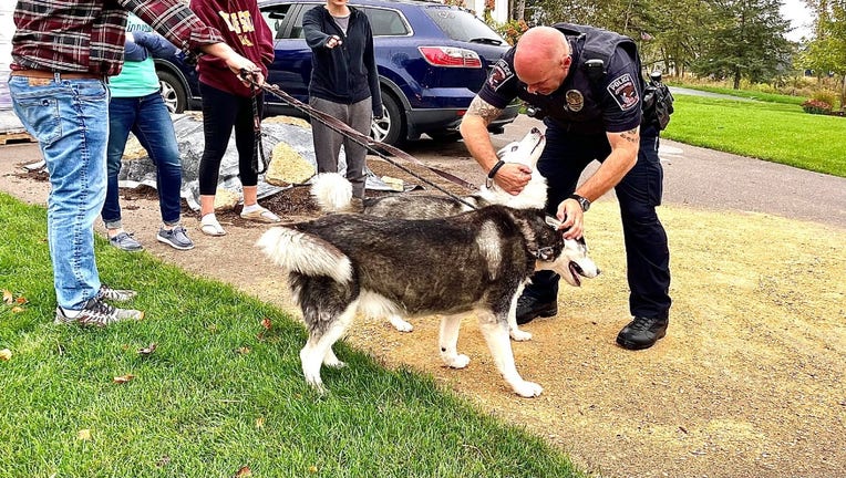cottage grove rescue
