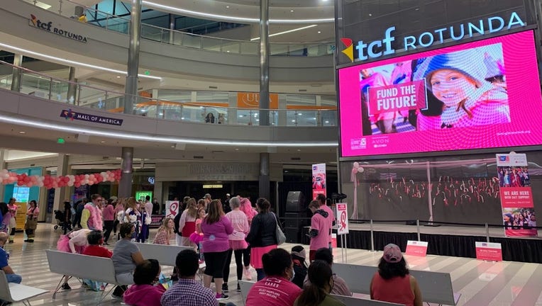 Making Strides Against Breast Cancer Walk