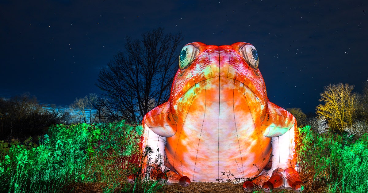 展示用/LED付き/雪夜のツリーと子猫達　トナカイ　蓄光　オルゴナイトネックレス Minnesota-Zoo-tomato-frog-