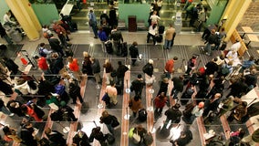 Thanksgiving 2021: TSA dishes on which foods can be checked, carried through security