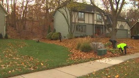 Landscapers rushing to rake up late-falling leaves before collection sites close