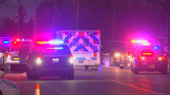 Man in custody after domestic dispute leads to standoff in Dodge Center