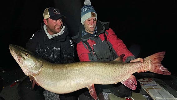 Minnesota man's big catch breaks state record for heaviest muskie