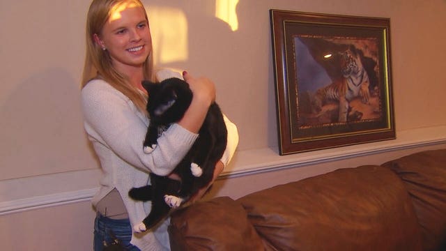 'Every animal deserves to be loved': Becker woman aims to save 800 stray cats