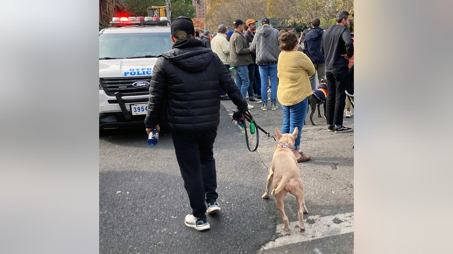 dogs-of-nyc-marathon-14.jpg