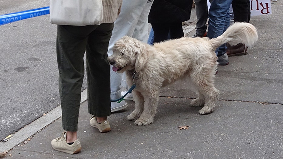 dogs-of-nyc-marathon-33.jpg