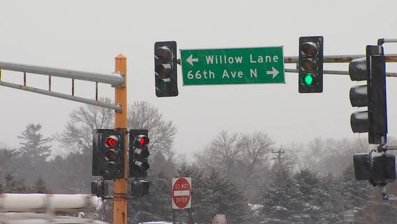 Police question suspected driver in crash that killed girl, 8, in Brooklyn Center