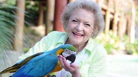Betty White Challenge: How to donate to animal shelters, organizations in her honor on Jan. 17