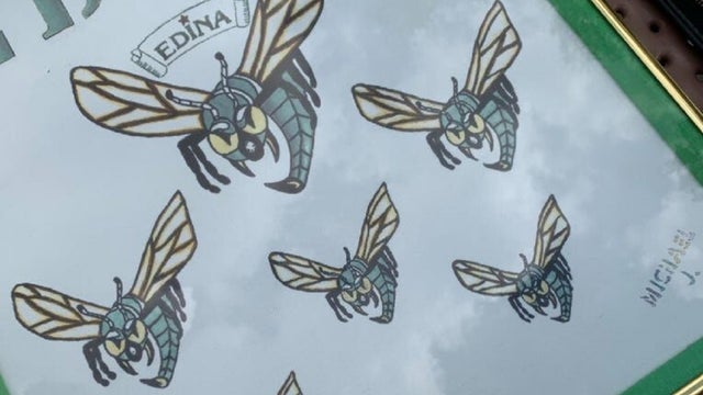 Edina Schools allowed to keep using hornet logo after settlement with designer