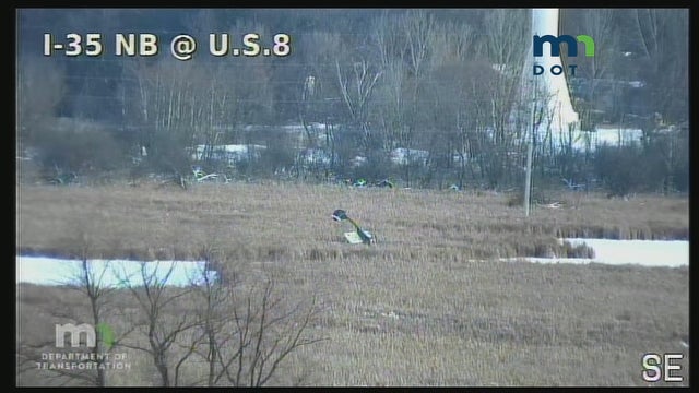 Pilot uninjured after small plane crashes in Forest Lake, Minn.