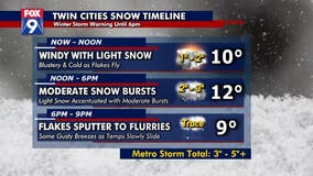 Snow Arrives in the Twin Cities