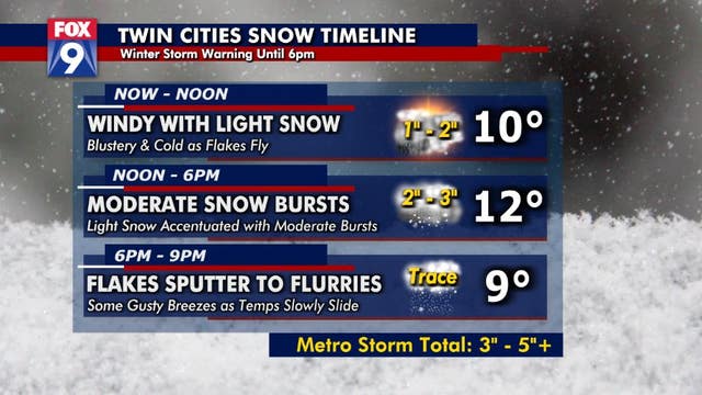 Snow Arrives in the Twin Cities