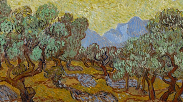 Van Gogh paintings to appear at Minneapolis Institute of Art this summer