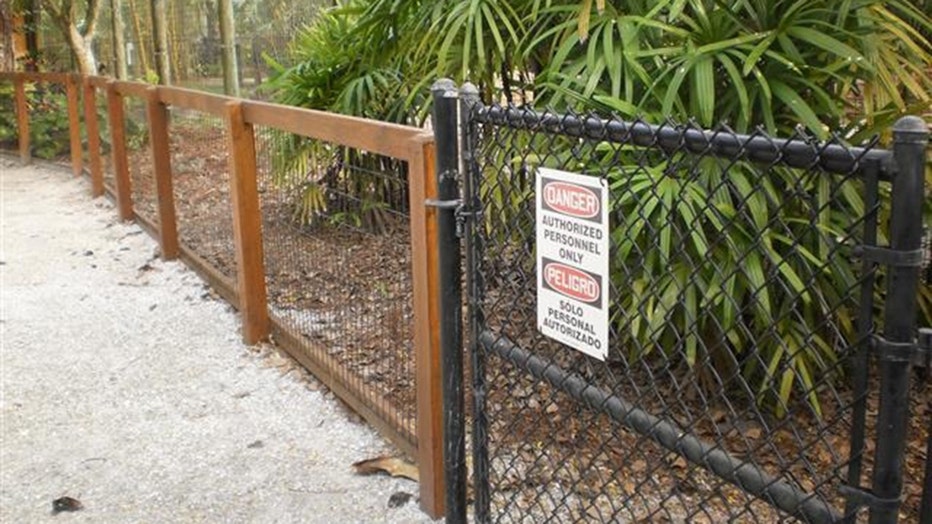 tiger-fence-2-fwc-naples.jpg